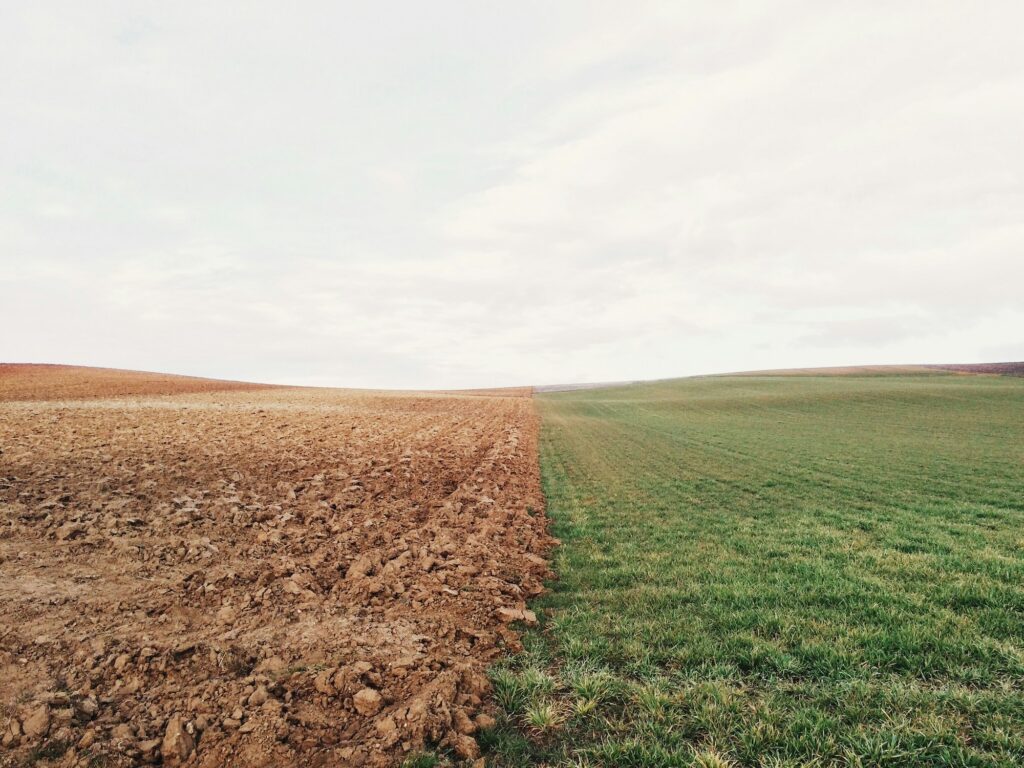 Green field alongside brown field